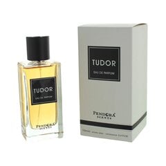 Parfimērijas ūdens Tudor vīriešiem EDP, 100ml cena un informācija | Vīriešu smaržas | 220.lv