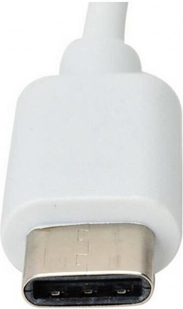 Tīkla karte-adapteris Techly USB-C 3.1 RJ45 Gigabit 10/100/1000 цена и информация | Adapteri un USB centrmezgli | 220.lv