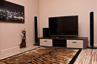 Paklājs Tīģeris, 40x60 cm cena un informācija | Paklāji | 220.lv