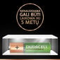 Akumulators Duracell AAA (850 mAh) LR03 2 gab. цена и информация | Baterijas | 220.lv