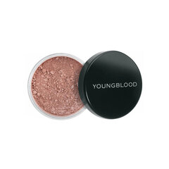 YOUNGBLOOD Glow Up kolekcija Lunar Dust Mineral Powder Dusk 3 g cena un informācija | Grima bāzes, tonālie krēmi, pūderi | 220.lv