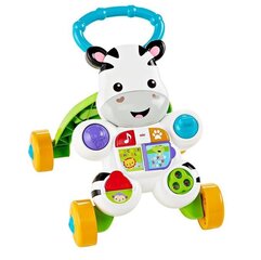 Muzikālais staigulis Fisher Price, DPL53 (Poļu valodā) cena un informācija | Rotaļlietas zīdaiņiem | 220.lv