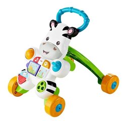 Музыкальные ходунки Fisher Price, DPL53 цена и информация | Игрушки для малышей | 220.lv