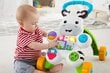 Muzikālais staigulis Fisher Price, DPL53 (Poļu valodā) cena un informācija | Rotaļlietas zīdaiņiem | 220.lv