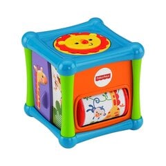 Интерактивная игрушка Куб Fisher Price BFH80 kaina ir informacija | Игрушки для малышей | 220.lv