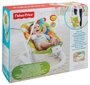 Bērnu šūpuļkrēsliņš Fisher Price Jumperoo, CMR20 cena un informācija | Bērnu šūpuļkrēsliņi | 220.lv