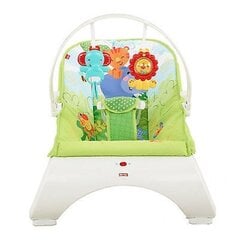 Кресло-качалка Fisher Price, CJJ79 цена и информация | Шезлонги и качели | 220.lv