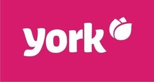 Телескопическая ручка для щетки YORK, 150 см  цена и информация | York Кухонные товары, товары для домашнего хозяйства | 220.lv