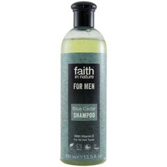 Šampūns vīriešiem ar zilo ciedru Faith In Nature 400 ml cena un informācija | Šampūni | 220.lv