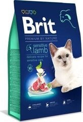 Brit Dry Premium Sensitive ar jēru un rīsiem, 8kg cena un informācija | Sausā barība kaķiem | 220.lv