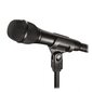 Mikrofons Audio Technica AT2010 цена и информация | Mikrofoni | 220.lv