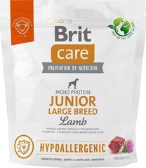 Brit ar jēru, 1 kg cena un informācija | Sausā barība suņiem | 220.lv