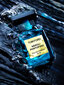 Parfimērijas ūdens Tom Ford Neroli Portofino - 50 ml цена и информация | Sieviešu smaržas | 220.lv