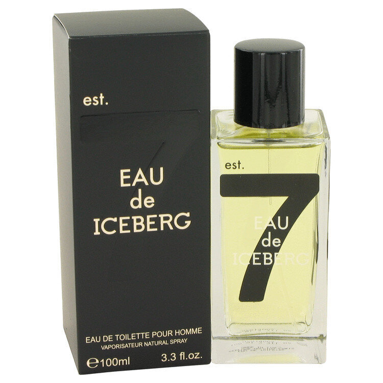 Iceberg Eau de Iceberg Homme EDT 100ml cena un informācija | Vīriešu smaržas | 220.lv