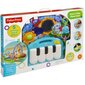 Muzikālais attīstīstošais paklājiņš ar klavierem Fisher Price, BMH49 цена и информация | Attīstošie paklājiņi | 220.lv