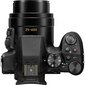 Panasonic Lumix DMC-FZ300, melns цена и информация | Digitālās fotokameras | 220.lv