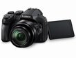 Panasonic Lumix DMC-FZ300, melns цена и информация | Digitālās fotokameras | 220.lv