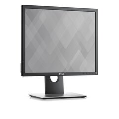 Dell P1917S cena un informācija | Monitori | 220.lv