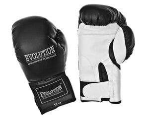 Боксёрские перчатки Evolution RB22 цена и информация | Боевые искусства | 220.lv