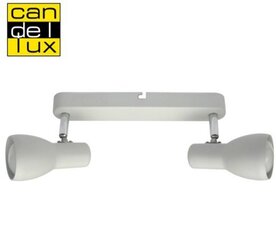 Griestu lampa 5592-44181 cena un informācija | Griestu lampas | 220.lv