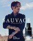 Tualetes ūdens Dior Sauvage EDT vīriešiem 100 ml cena un informācija | Vīriešu smaržas | 220.lv