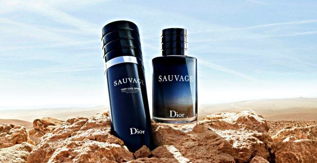 Tualetes ūdens Dior Sauvage EDT vīriešiem 100 ml cena un informācija | Vīriešu smaržas | 220.lv