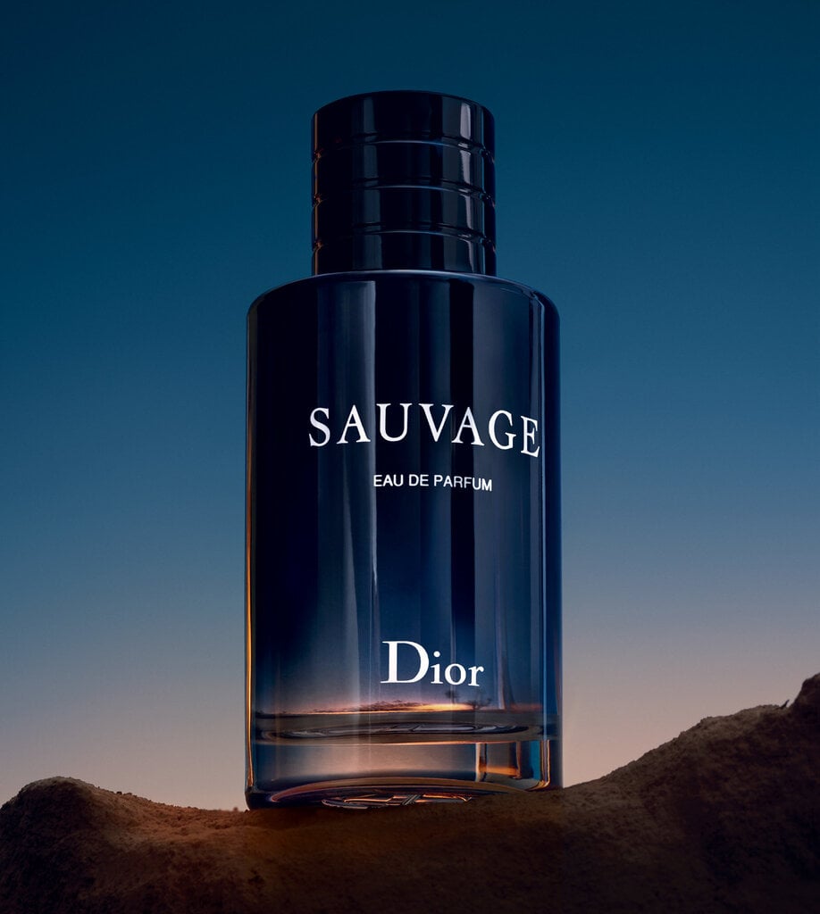 Tualetes ūdens Dior Sauvage EDT vīriešiem 100 ml cena un informācija | Vīriešu smaržas | 220.lv