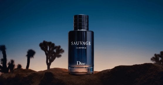 Tualetes ūdens Dior Sauvage EDT vīriešiem 100 ml cena un informācija | Vīriešu smaržas | 220.lv