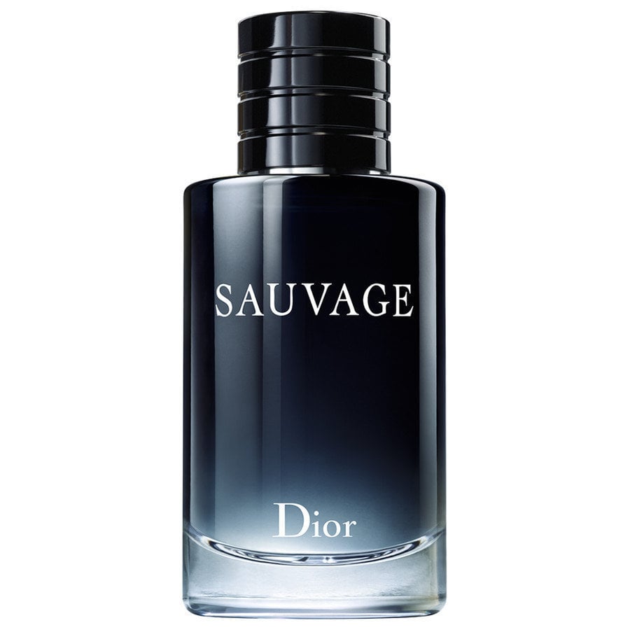 Tualetes ūdens Dior Sauvage EDT vīriešiem 100 ml цена и информация | Vīriešu smaržas | 220.lv