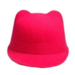 (55 57CMMei sarkans)2024 Mode Ziemas vilna Sieviešu beisbola cepure dāma Snapback ar velna ragiem Cute Cat auss cepure dzīvnieks Derby Bowler jauki cepure цена и информация | Женские шапки | 220.lv