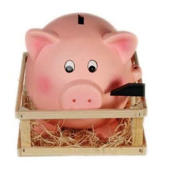 Гигантская свинья-копилка цена и информация | Оригинальные копилки | 220.lv