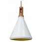 Piekarama lampa 5531-37695 cena un informācija | Piekaramās lampas | 220.lv