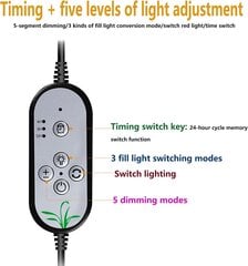 Augu augšanas gaisma, pilna spektra 2-galvu istabas augu augšanas gaisma, 5 aptumšojami gaismas līmeņi, taimera iestatījums 4H/8H/12H, 3 slēdžu režīmi cena un informācija | Diedzēšanas trauki, augu lampas | 220.lv