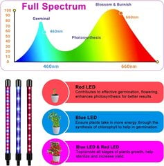 Iekštelpu augu audzēšanas gaisma, pilna spektra LED augu gaisma ar klipsi un 3 m kabelis stādu audzēšanai (2 iepakojumi) cena un informācija | Diedzēšanas trauki, augu lampas | 220.lv