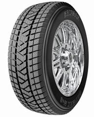 Gripmax Stature Ms 255/50R20 109 V cena un informācija | Ziemas riepas | 220.lv