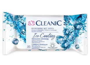 Влажные салфетки Cleanic Ice Cooling, 15 шт. цена и информация | Ватные изделия и влажные салфетки | 220.lv