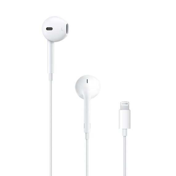 Apple EarPods with Lightning Connector - MMTN2ZM/A цена и информация | Austiņas | 220.lv