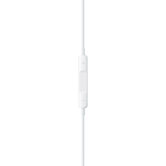 Apple EarPods with Lightning Connector - MMTN2ZM/A цена и информация | Austiņas | 220.lv