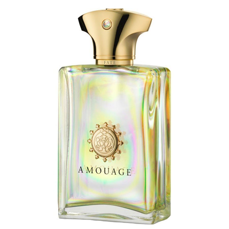 Amouage Fate for Men EDP vīriešiem 100 ml цена и информация | Vīriešu smaržas | 220.lv