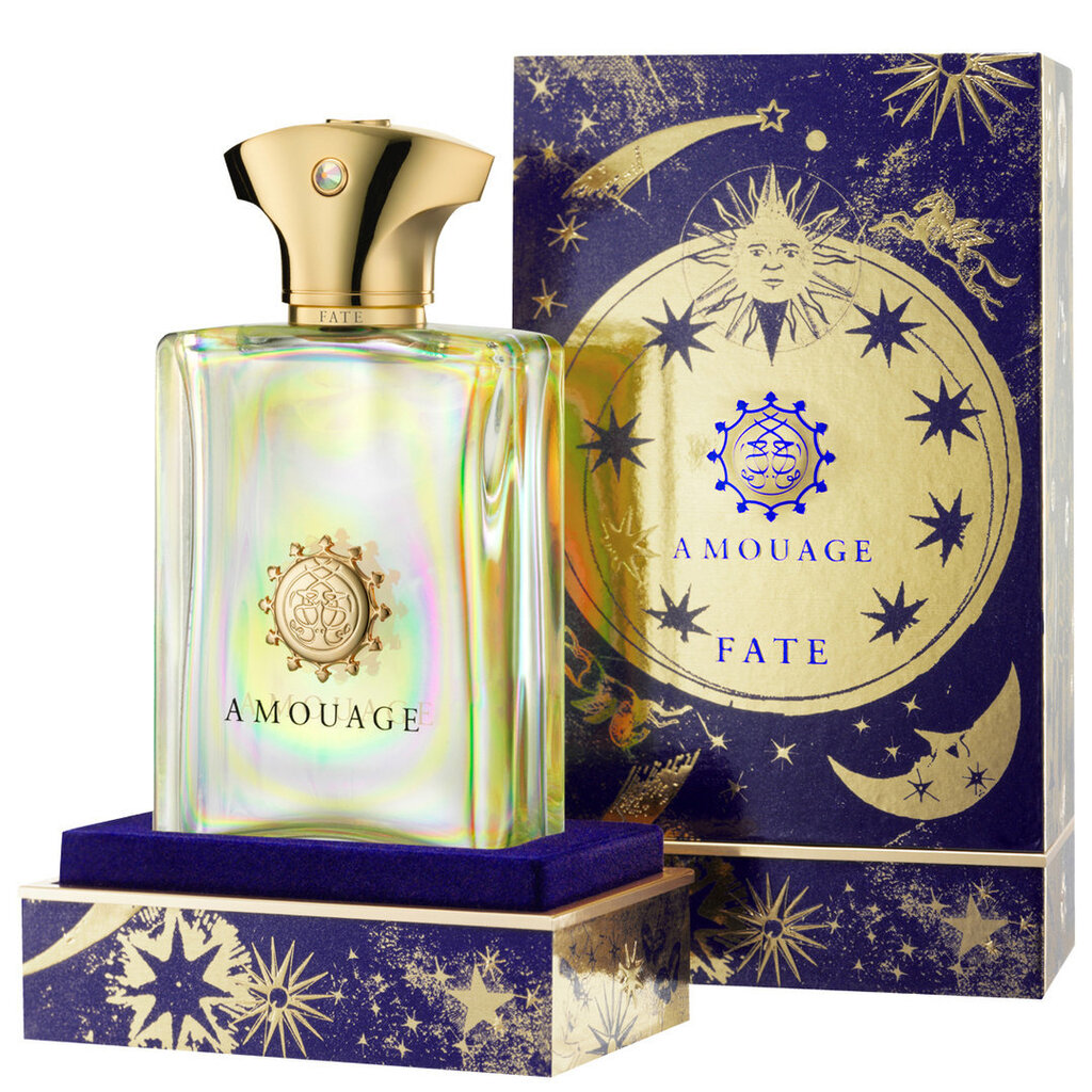 Amouage Fate for Men EDP vīriešiem 100 ml цена и информация | Vīriešu smaržas | 220.lv