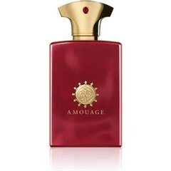 Parfimērijas ūdens Amouage Journey EDP vīriešiem, 100 ml cena un informācija | Vīriešu smaržas | 220.lv