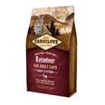 Carnilove Reindeer Energy 6kg Kaķiem