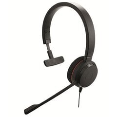 Jabra Evolve 20 Mono MS 4993-823-109 цена и информация | Наушники | 220.lv