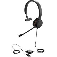 Jabra Evolve 20 Mono MS 4993-823-109  цена и информация | Наушники с микрофоном Asus H1 Wireless Чёрный | 220.lv