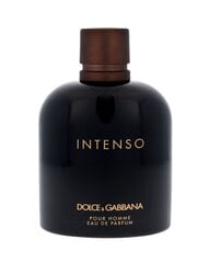 Vīriešu smaržas Pour Homme Intenso - EDP cena un informācija | Dolce&Gabbana Smaržas, kosmētika | 220.lv