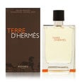 Hermes Terre D Hermes EDT vīriešiem 200 ml