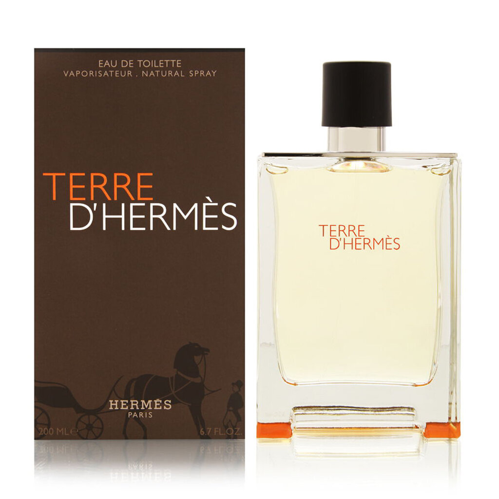 Hermes Terre D Hermes EDT vīriešiem 200 ml цена и информация | Vīriešu smaržas | 220.lv