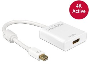 Delock Adapteris mini Displayport 1.2 male > HDMI female 4K Active cena un informācija | Adapteri un USB centrmezgli | 220.lv