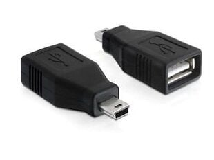 Adapter USB AF->USB MINI(M) цена и информация | Аксессуары для телевизоров и Smart TV | 220.lv