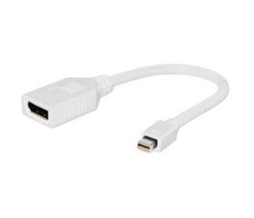 Gembird - Адаптер DISPLAYPORT Mini (M) -> DISPLAYPORT (F) цена и информация | Адаптеры и USB разветвители | 220.lv